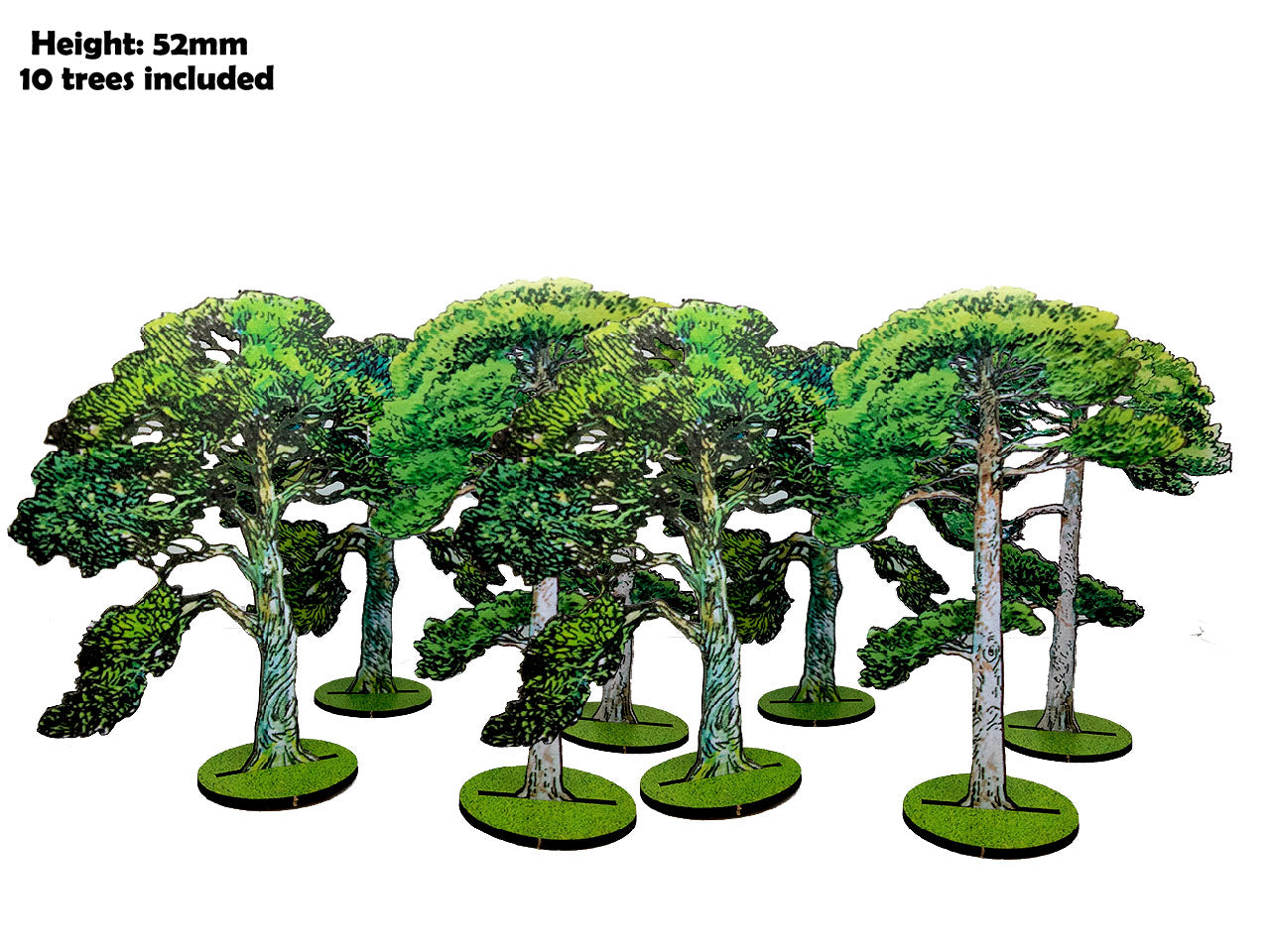 10mm Scots Pine