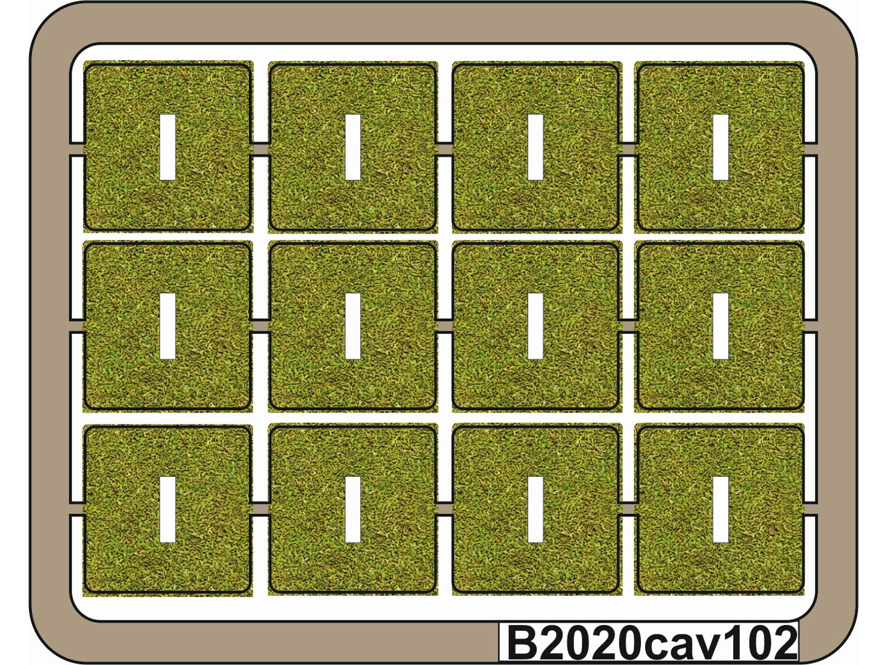 B2020cav102
