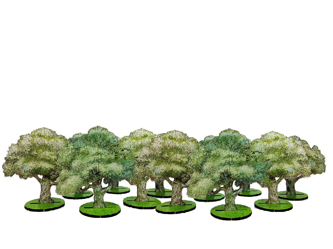 10mm Olive Trees