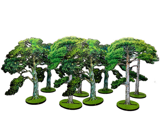 10mm Scots Pine