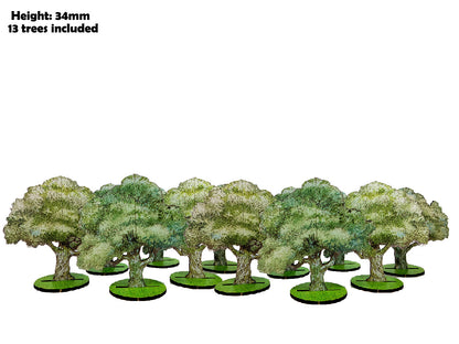 10mm Olive Trees