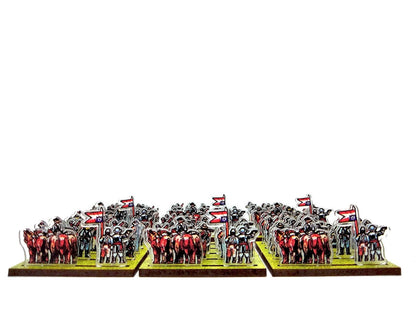 Dismounted Confederate Cavalry