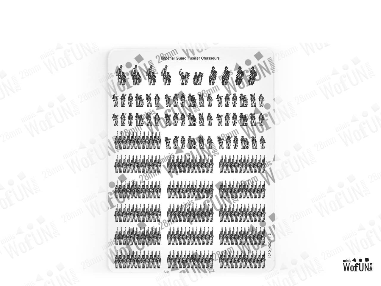 Imperial Guard Fusilier Chasseurs