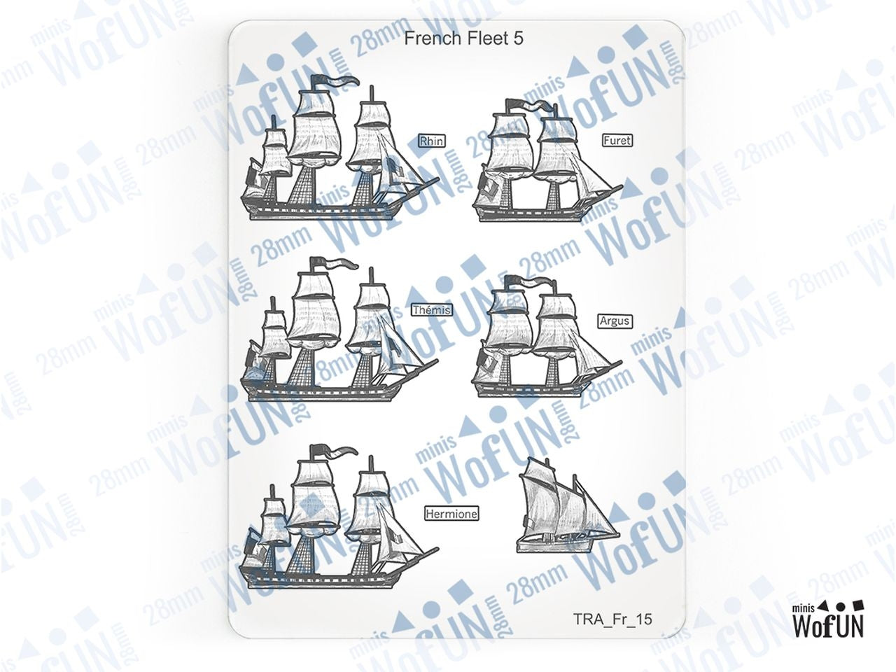 French Fleet 5