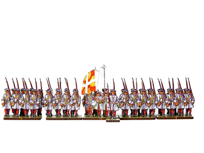 French Line Infantry des Landes (white facings & red stockings)